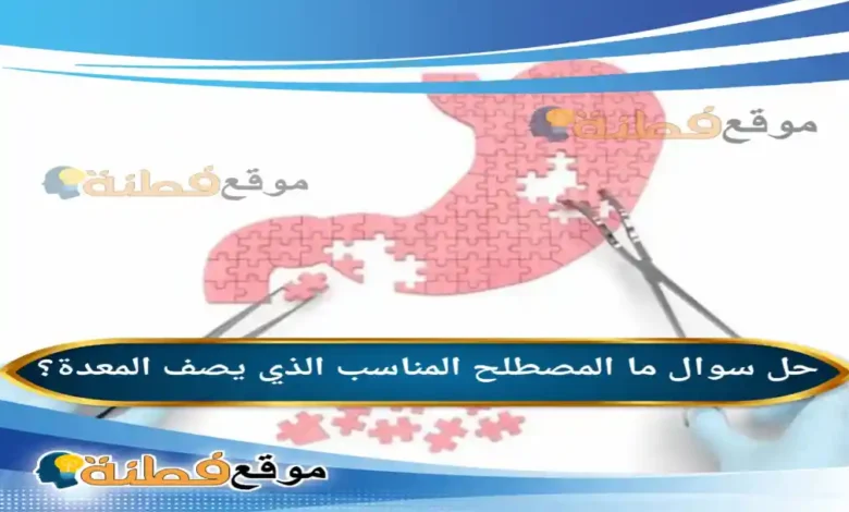 ما المصطلح المناسب الذي يصف المعدة؟