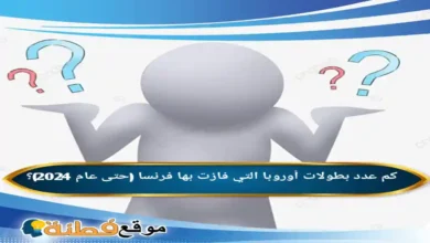 كم عدد بطولات أوروبا التي فازت بها فرنسا (حتى عام 2024)؟