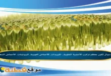 تُكون معظم تركيب الأغشية الخلوية.. الليبيدات. الأحماض النووية. البروتينات. الأحماض الدهنية.