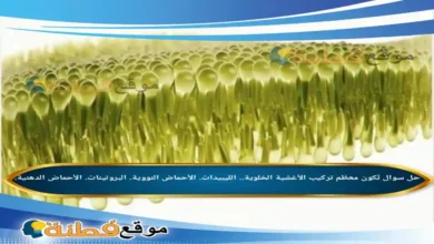 تُكون معظم تركيب الأغشية الخلوية.. الليبيدات. الأحماض النووية. البروتينات. الأحماض الدهنية.