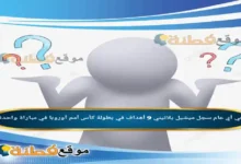 في أي عام سجل ميشيل بلاتيني 9 أهداف في بطولة كأس أمم أوروبا في مباراة واحدة