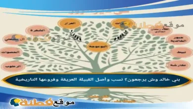 بني خالد وش يرجعون؟ نسب وأصل القبيلة العريقة وفروعها التاريخية
