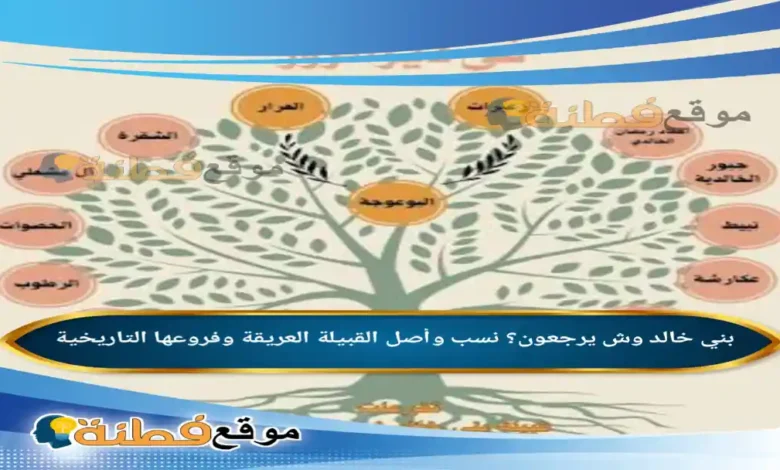 بني خالد وش يرجعون؟ نسب وأصل القبيلة العريقة وفروعها التاريخية