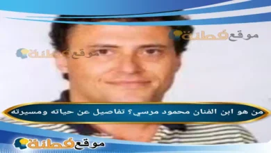 من هو ابن الفنان محمود مرسي تفاصيل عن حياته ومسيرته