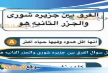الفرق بين جزیره شورى والجزر الثانيه هو