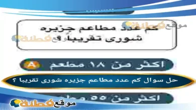 كم عدد مطاعم جزیره شوری تقریبا