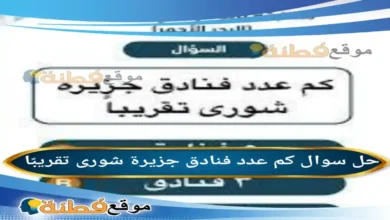 كم عدد فنادق جزيرة شوری تقریبا
