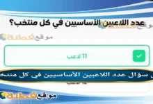 عدد اللاعبين الأساسيين في كل منتخب