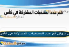 كم عدد المنتخبات المشاركة في كأس