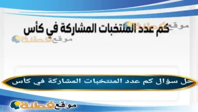 كم عدد المنتخبات المشاركة في كأس